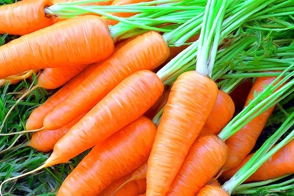 морковь при диабете