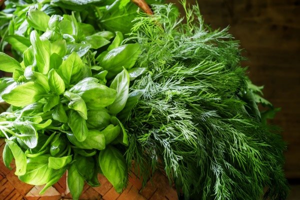 Зелень для салата