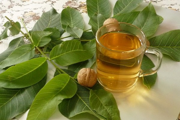 Чай из листьев грецкого ореха