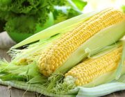 Можно ли есть кукурузу при диабете: ее влияние на организм
