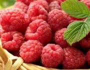 Малина – полезная ягода для диабетиков