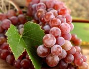 Виноград и сахарный диабет