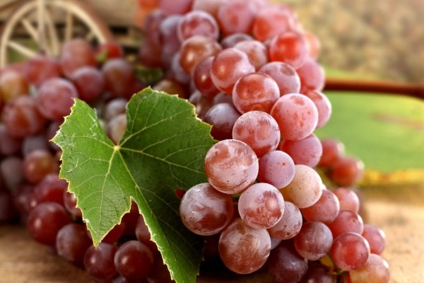 Виноград для диабетиков